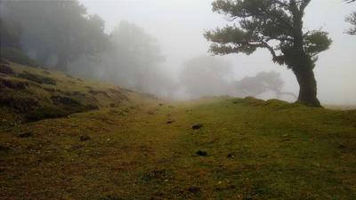 爱爱视频 — 驱动企业数字化转型的可靠伙伴